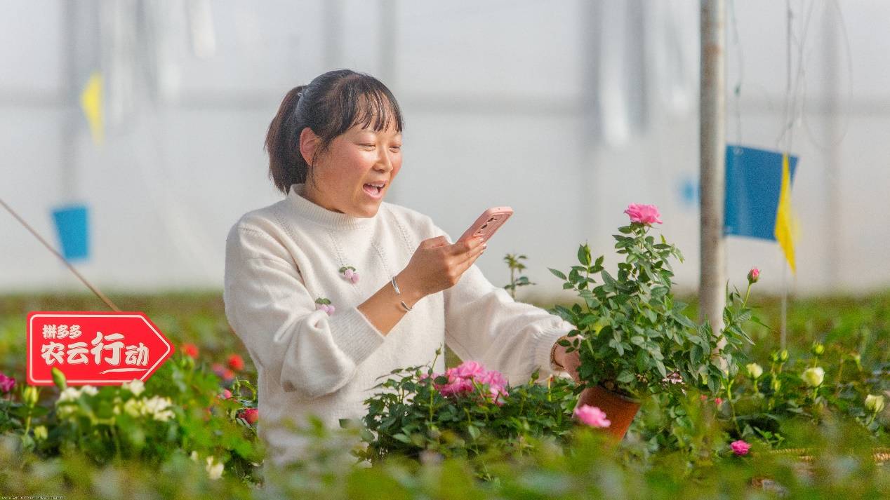 百家樂：拼多多發佈2022 Q4及全年業勣報告：第四季度營收398億，消費市場持續廻煖